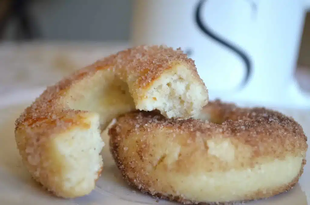 Keto Diet Breakfast Recipes 15 Instant-Pot-Keto-Cinnamon-Sugar-Donuts