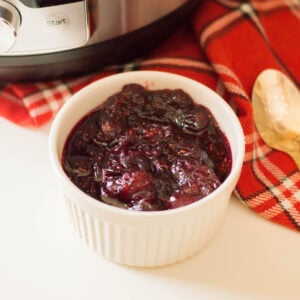 A small bowl of cranberry sauce.