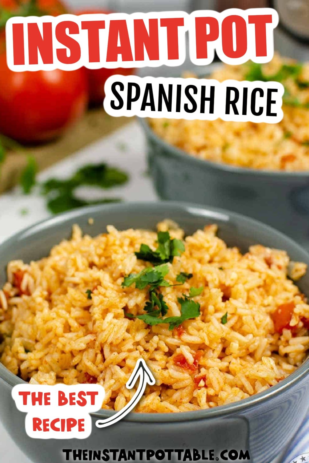 spanish pot for rice