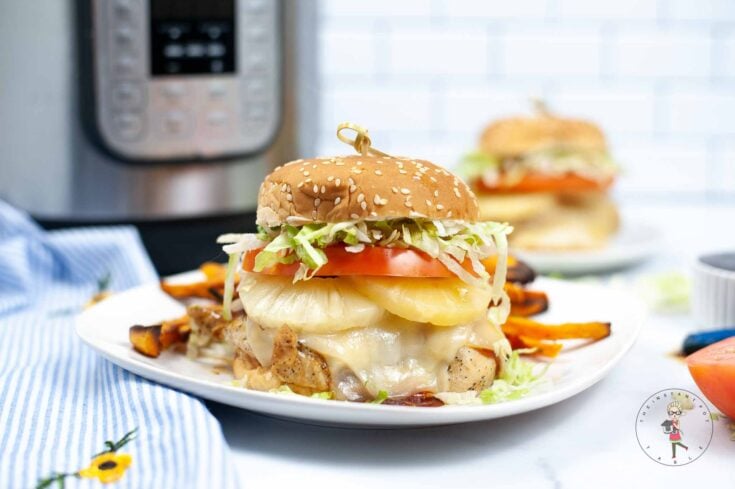 instant pot teriyaki burger