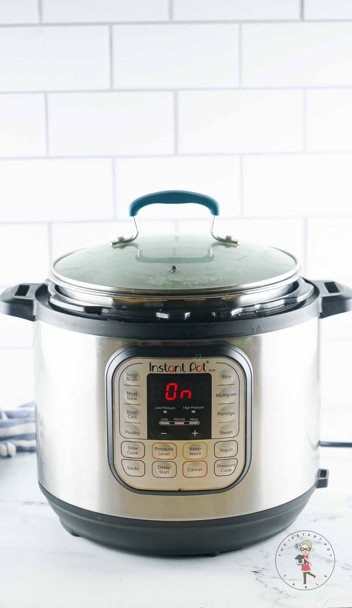 Instant Pot Slow Cooker Setting