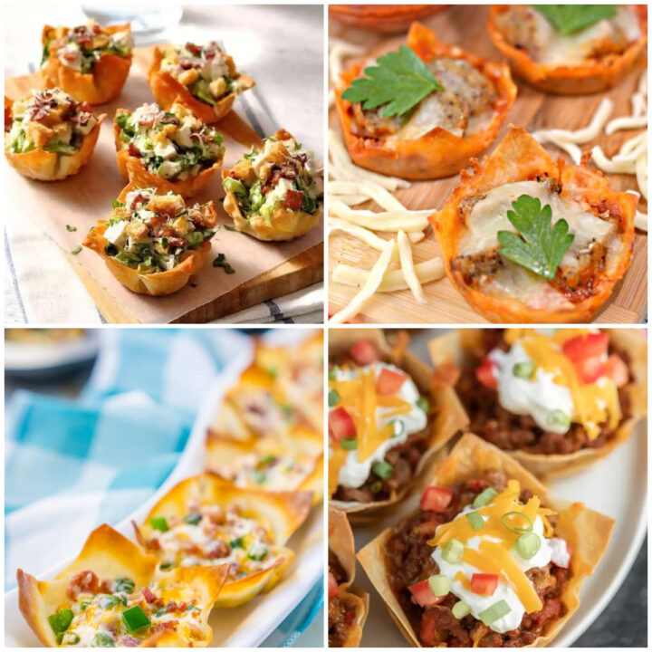 Best Wonton Appetizers For Your Party.